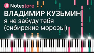 🎼 Ноты Владимир Кузьмин  Я не забуду тебя Сибирские морозы Урок на пианино [upl. by Annirac]