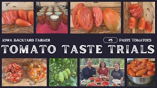 Tomato Tasting Paste Tomatoes [upl. by Toogood]