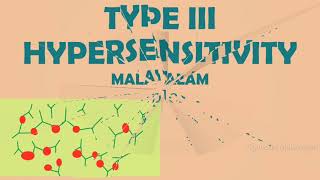 TYPE III HYPERSENSITIVITY REACTIONS  IMMUNE COMPLEX MEDIATED  MALAYALAM [upl. by Idona699]