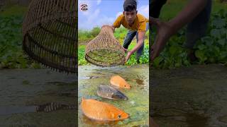 Unbelievable Polo Challenge Fishing Video  shorts shortsfeed funny polo fishing unique [upl. by Patrizia]