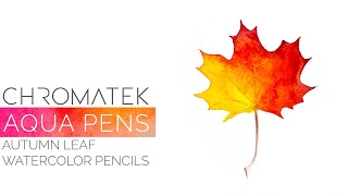 Aqua Pen amp Watercolor Pencil Tutorial  Autumn Leaf 03  Watercolor Tutorials by Chromatek [upl. by Willing]