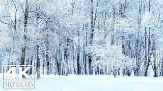 Beautiful Relaxing Hymns Peaceful Music quotNovembers first Snow Morningquot Nature 4k Video UltraHD [upl. by Imik]