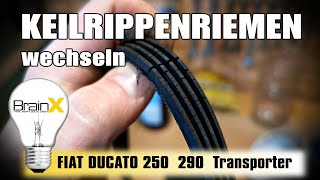 Fiat Ducato Keilriemen wechseln  How to change Tension Belt [upl. by Scherman]