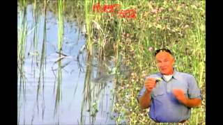 Dahlberg Diver Frog River2Sea Produktvideo 2 [upl. by Wsan415]