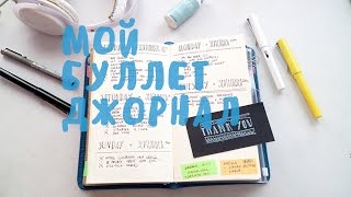 КАК ВЫГЛЯДИТ МОЙ BULLET JOURNAL • ЕЖЕДНЕВНИКИ [upl. by Thessa562]