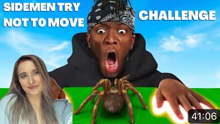 SIDEMEN TRY NOT TO MOVE CHALLENGE egirl reacts [upl. by Busby876]