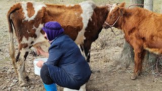 Village and local flavors Cooking basterma pilaf with turkey in everyday rural life [upl. by Nalyt]