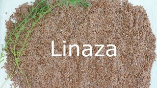 Beneficios de linaza para la salud cabello y piel [upl. by Rolanda]