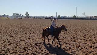 Outback Queensland Campdraft P1 [upl. by Ibed526]