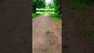 Jharkhand rural village road tripjharkhandtourism nature travelblog myvillageshow [upl. by Emelita410]