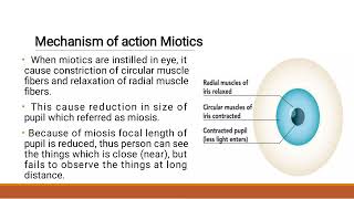 Drug acting on eye Miotics and Mydriatics [upl. by Fayette413]