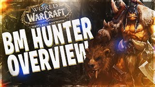 BM HUNTER BFA GUIDE BATTLE FOR AZEROTH 80 [upl. by Lenahtan]