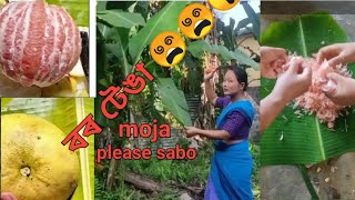 বৰ টেঙা  New Mising Vlog  Torali Official [upl. by Enneire]