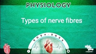 Tut 5 Types of nerve fibers Physiology [upl. by Sundstrom]