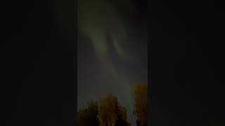 Alaska northern lights sept 17 alaska northernlights [upl. by Cantone]