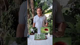 ¿Qué es bueno para eliminar la mosca blanca de las plantas 🤔🌿👩‍🌾 RECETA CASERA 😎🌱 [upl. by Sivahc]