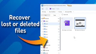 How to Recover Deleted or Lost Files Data Recovery Wizard [upl. by Nuahsad982]