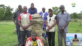 Zoom sur le site des termitières à chapeaux de chaume de Timberba dans la commune de Niangoloko [upl. by Fanni]