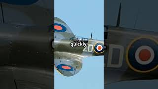 Spitfire vs Zero Epic Pacific Dogfights history aviation [upl. by Drawoh727]