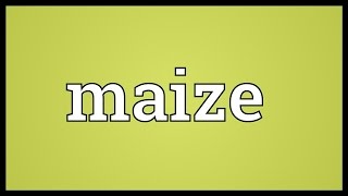 Maize Meaning [upl. by Aleb749]