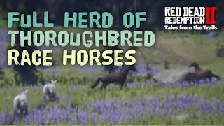 Red Dead Redemption 2 Full Herd of Thoroughbred Horses  Female Guide  Location [upl. by Llertram]