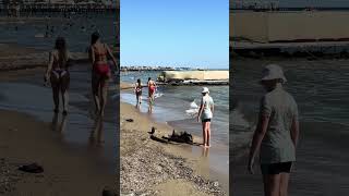 🌊 Foam of Waves Watch Bolivar Beach Summer sea relaxing greecebeach beach [upl. by Kasey306]