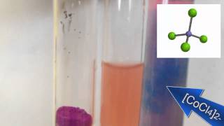 Complex Ions Adding Choride ions to cobalt chloride [upl. by Ayimat]