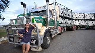 Cattle Hauling [upl. by Erehc]