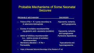 Neonatal Seizures DrAmjad Tarawneh Lecture Mutah University [upl. by Lacagnia]