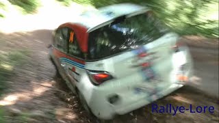 Rallye Mittelrhein 2024  Samstag Highlights  MISTAKES  CLOSE CALLS  WIDE LINES [upl. by Waki556]