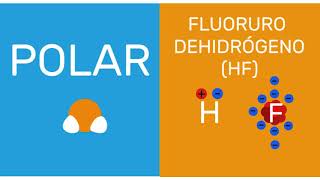 Química Moléculas polares y no polares [upl. by Armbrecht]