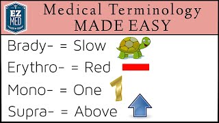 Medical and Nursing Terminology MADE EASY Prefixes Flashcard Tables [upl. by Reidid]