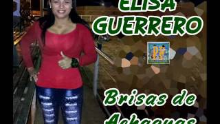 Elisa Guerrero  Brisas De Achaguas [upl. by Arahk]