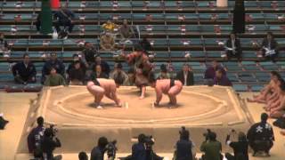 Haru 2013 Basho Maezumo Day 2 [upl. by Nonnahs]