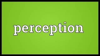 Perception Meaning [upl. by Burrus]