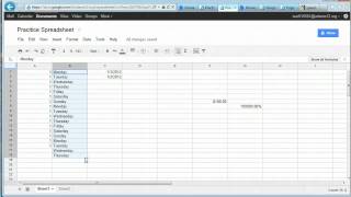 Google Docs Spreadsheet Basics [upl. by Nyleve]