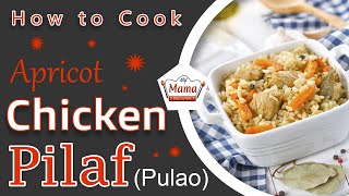 How to make Chicken Pilaf with Apricots  Apricot Chicken Pulao  Chicken Pulao [upl. by Ernesta400]