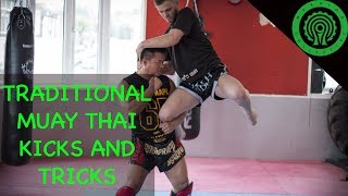 Traditional Muay Thai Kicks and Tricks Tutorial [upl. by Airbmac]