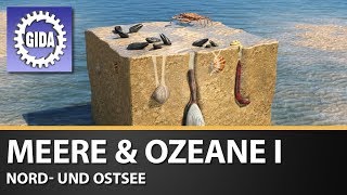 Trailer  Meere amp Ozeane I  Nord und Ostsee  Schulfilm [upl. by Anitsyrhk]