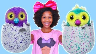 NEW HATCHIMALS TOY with Shiloh and Shasha  Onyx Kids [upl. by Nuahsyar]