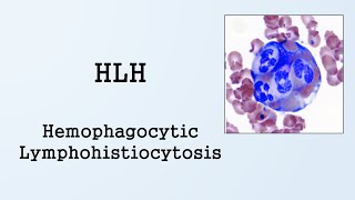 Hemophagocytic Lymphohistiocytosis HLH [upl. by Alemahs]