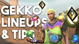 Gekko Bind Lineups and Tips  to Help You INSTANTLY Improve [upl. by Warfold783]