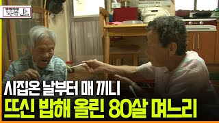 다큐 ‘가족’ 175회上 시집온 날부터 매 끼니 뜨신 밥해 올린 80살 며느리 [upl. by Ylram]