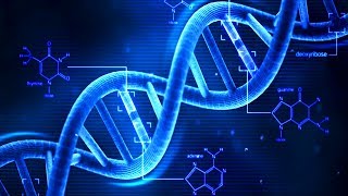 DNA  What is DNA  Basics of DNA [upl. by Perzan]