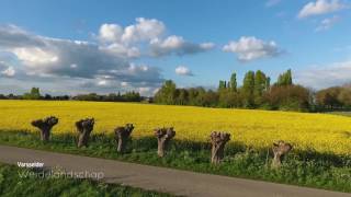 De Oude IJsselstreek prachtig in beeld gebracht [upl. by Vilberg]