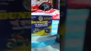 Bike best Battery 9mahপাওটার ব্যাটারি। [upl. by Forester]