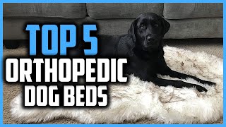 ✅Top 5 Best Orthopedic Dog Beds in 2024 [upl. by Dielu]