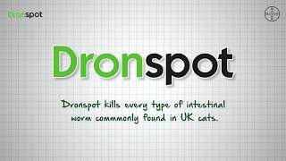 DRONSPOT® Spoton Wormer for Cats  How it Works Bayer [upl. by Loriner75]