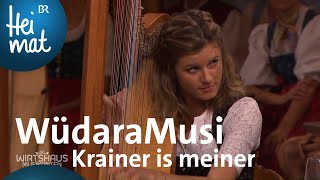 WüdaraMusi Krainer is meiner  Wirtshausmusikanten  BR Heimat  die beste Volksmusik [upl. by Irot]