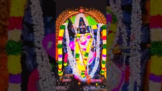 Mecheri 🙏bathrakaliamman 🌿 WhatsApp status Mecheri Bathrakaliamman EDlTZ [upl. by Tish]